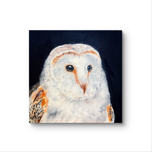 white owl