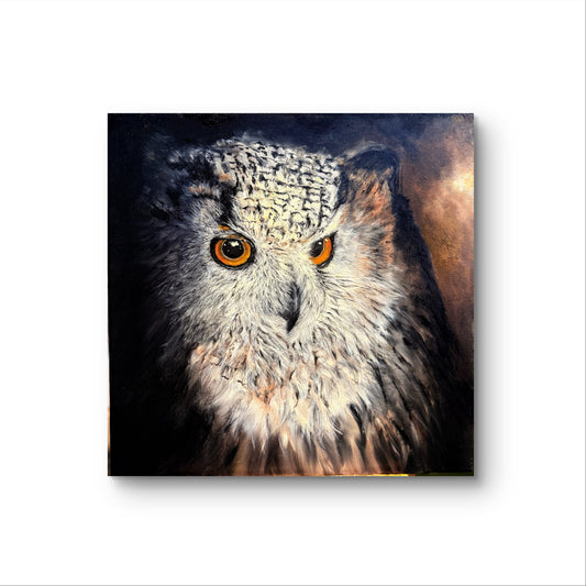owl