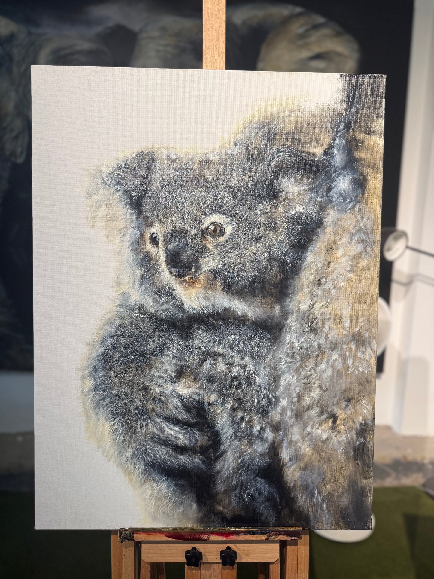 koala