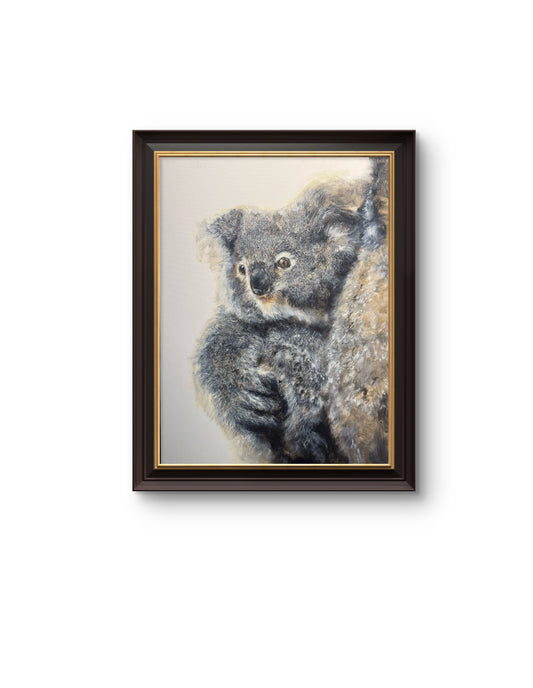 koala