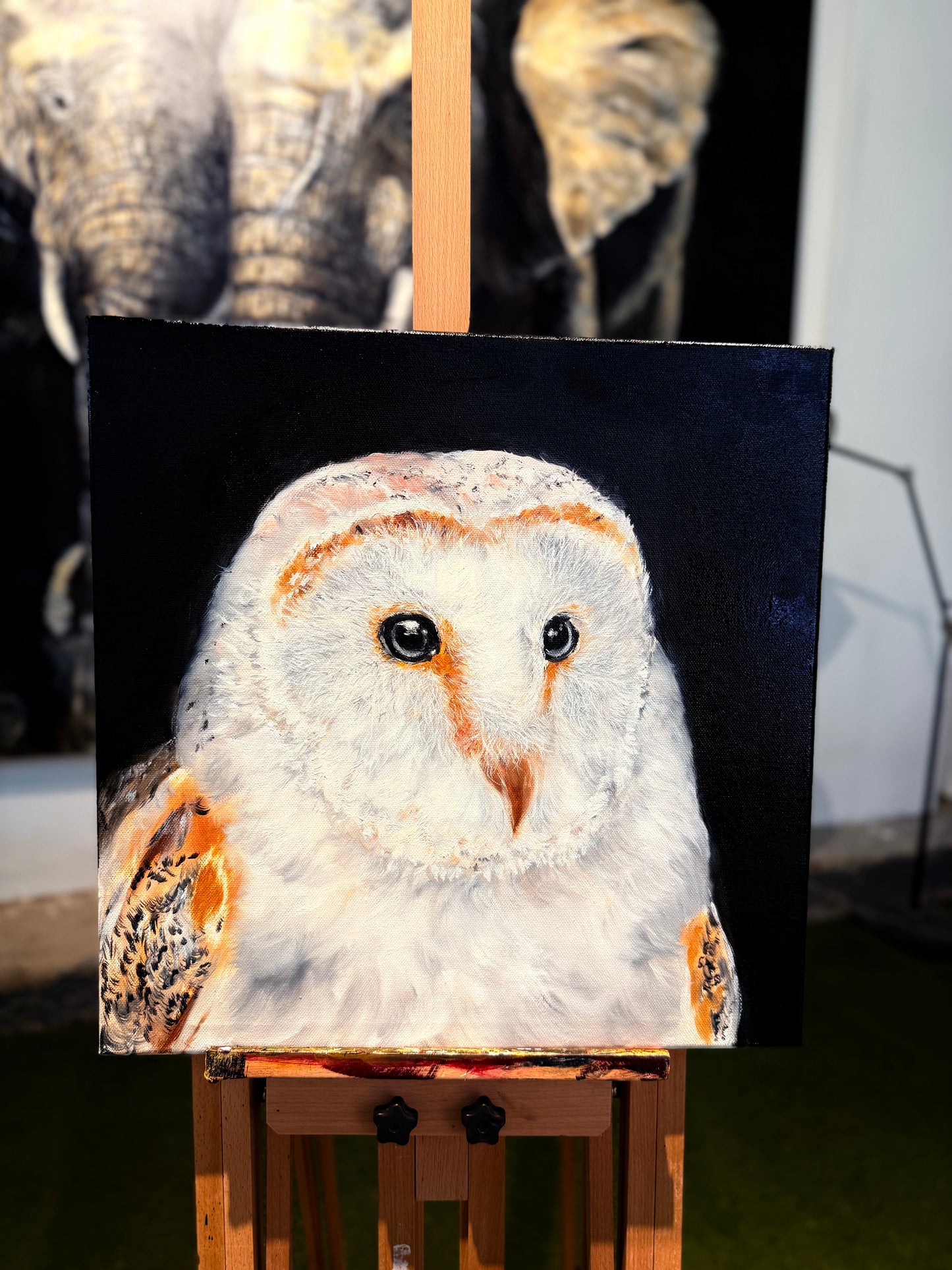white owl