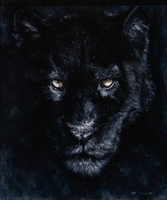 Black Leopard