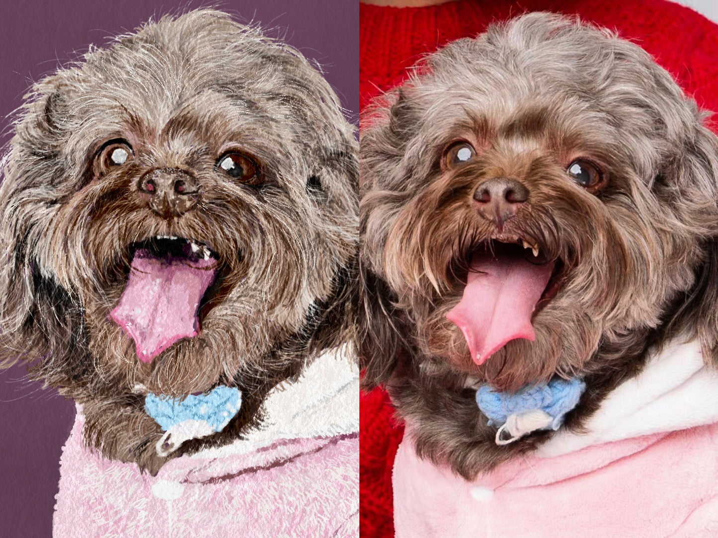 Custom Pet Portraits