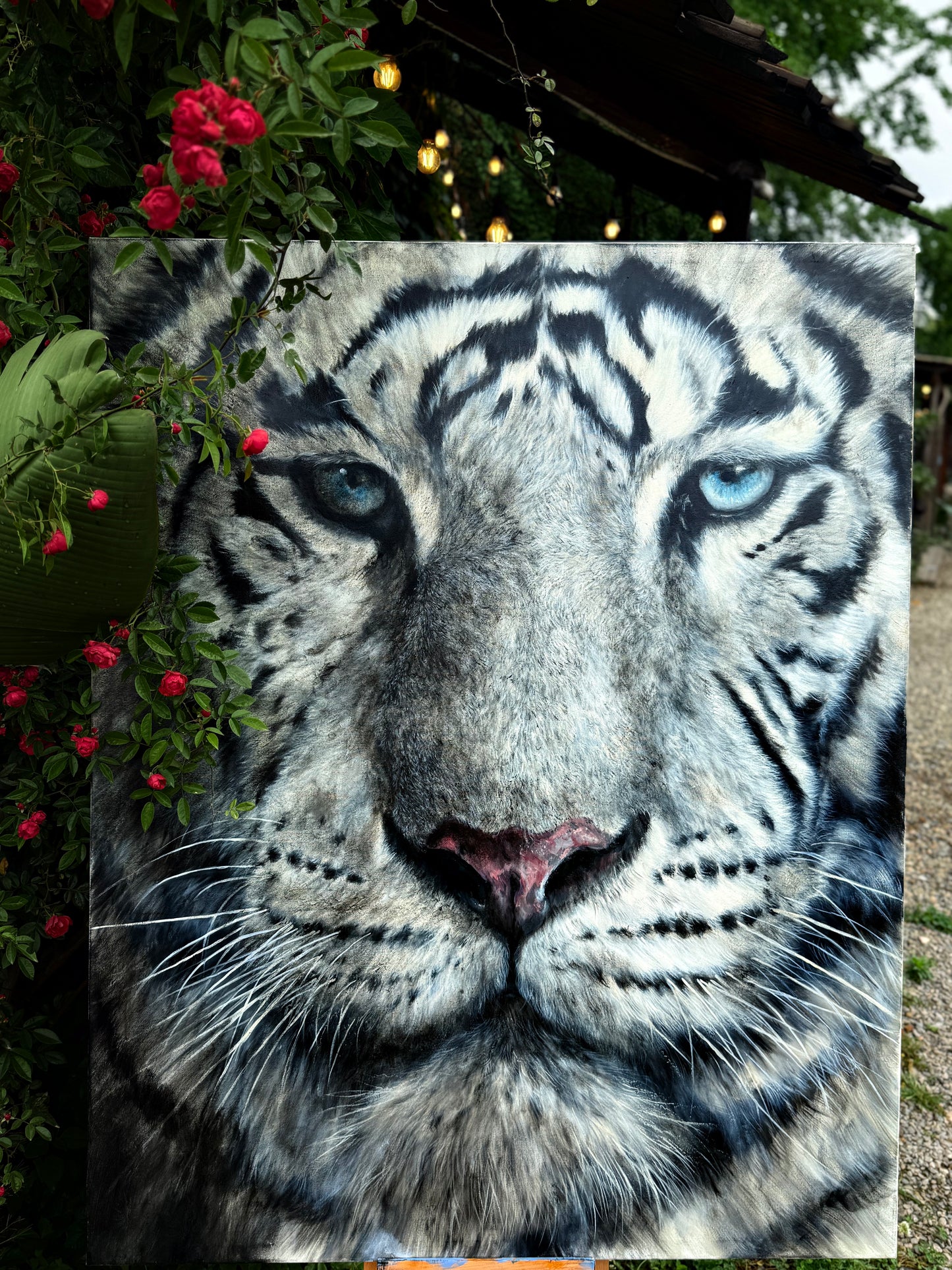 Mr.white