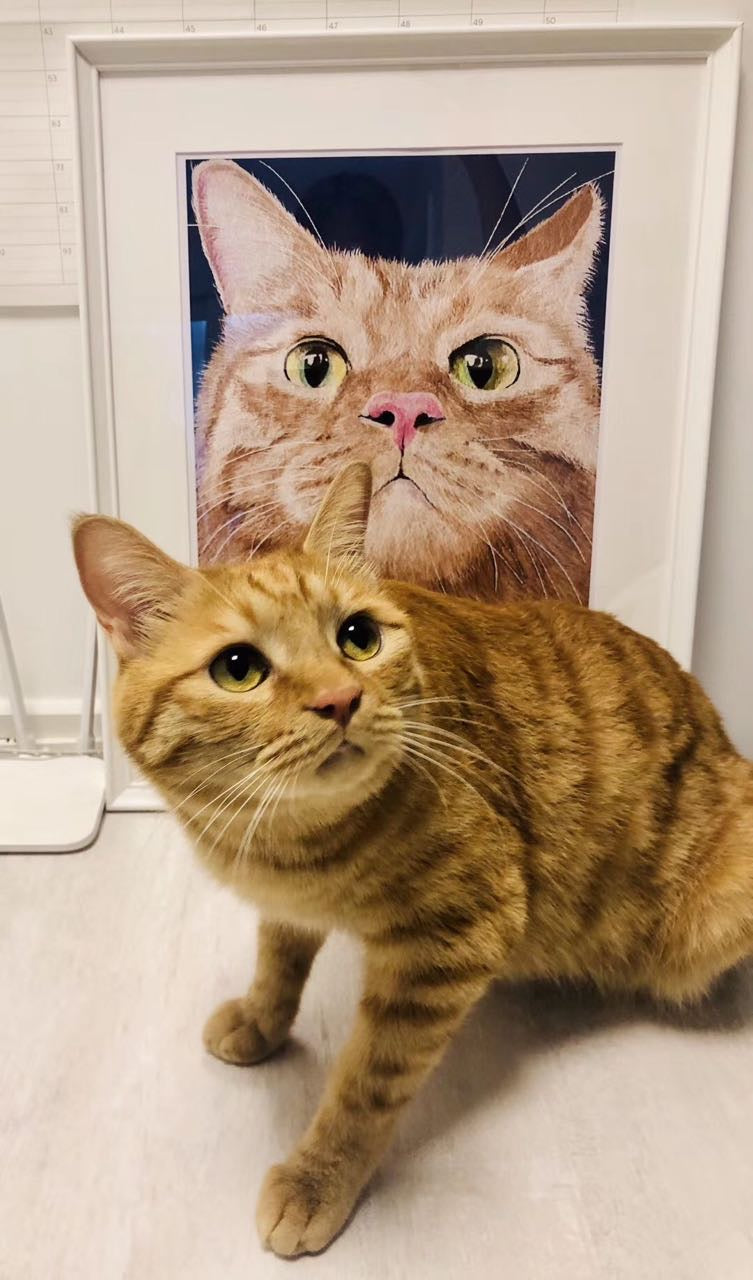 Custom Pet Portraits